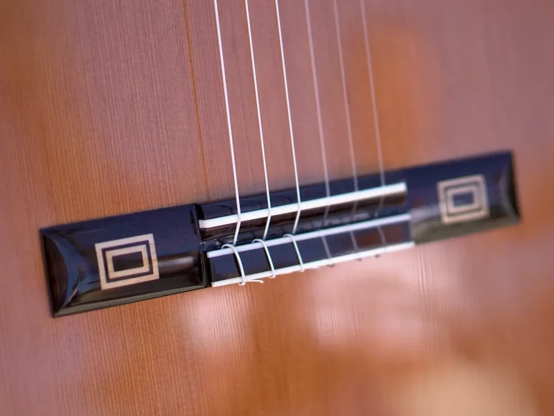 Puente y cuerdas