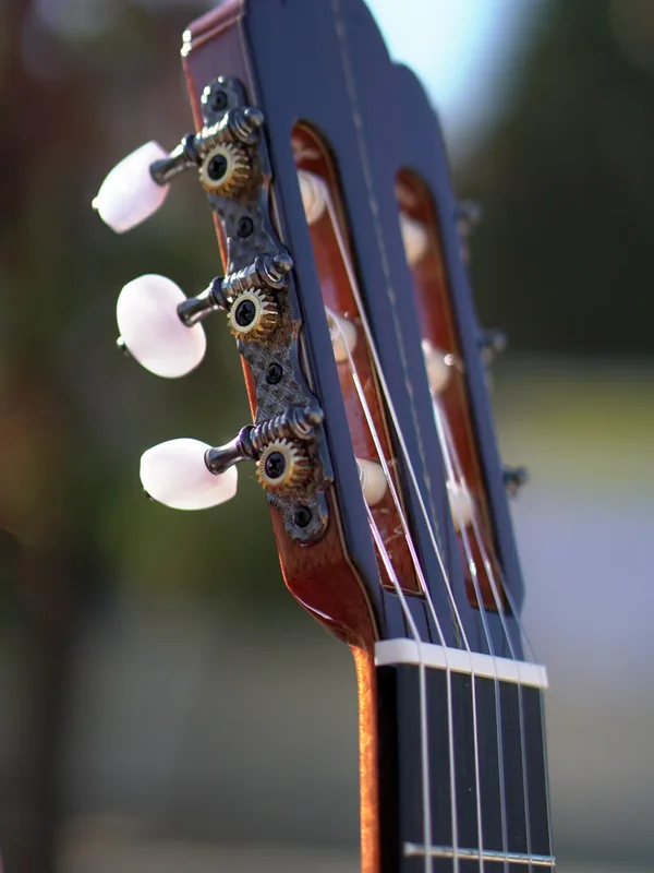 Clavijero
