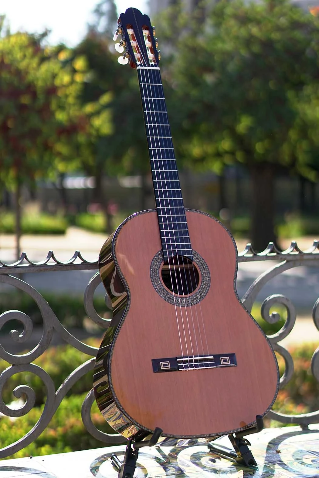 Guitarra Antonio de Toledo - Vista Completa